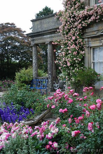 ENE-20110606-0304.jpg - Kiftsgate Court Gardens, Chipping Campden